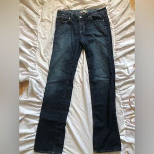 Cool Embroidered Dark Wash Jeans